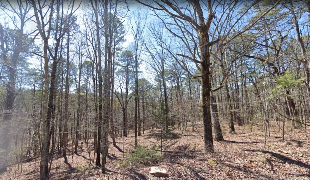 Quarter-acre mountainous land near Fairfield Bay, Arkansas - photo 11