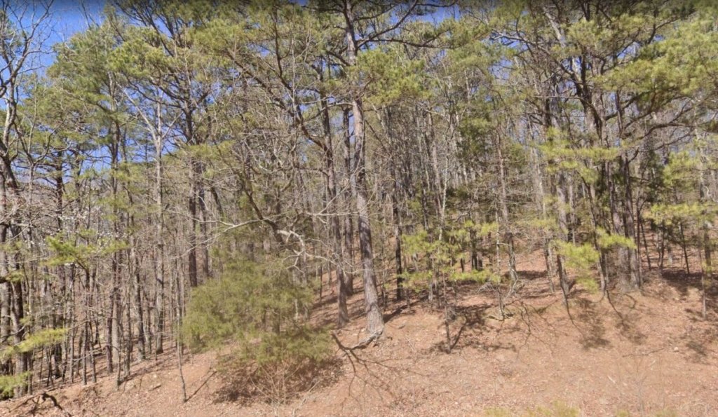 Treed lot in mountainous Fairfield Bay, Arkansas area - photo 9
