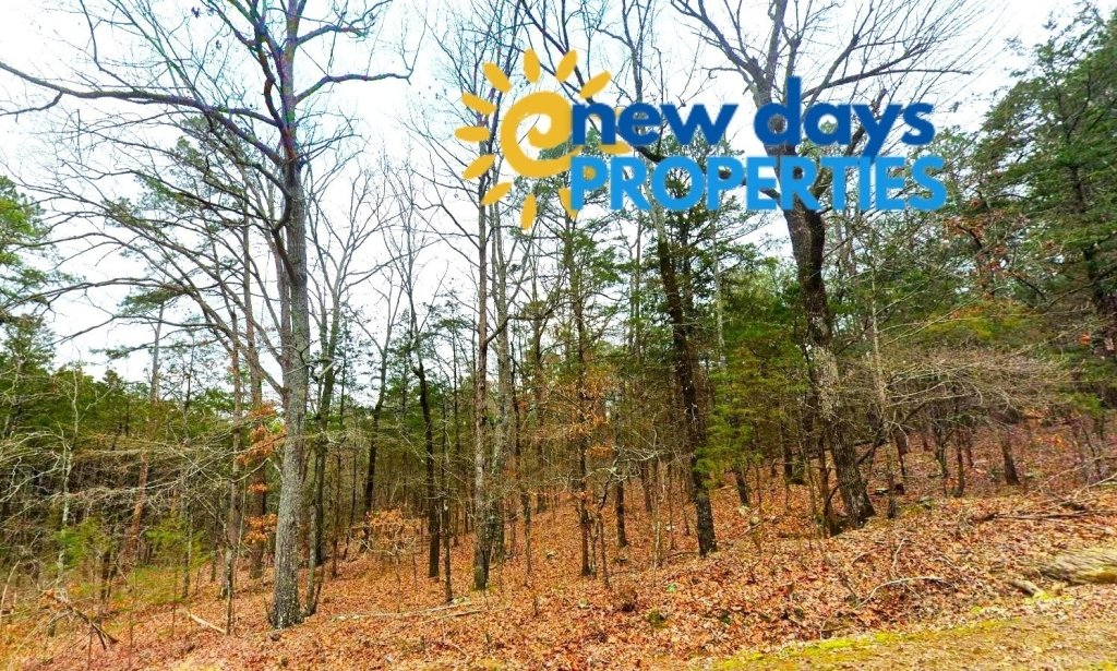 0.30-Acre Treed & Mountain View Land for Sale in Arkansas