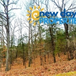 Mountain View Land for Sale in Arkansas