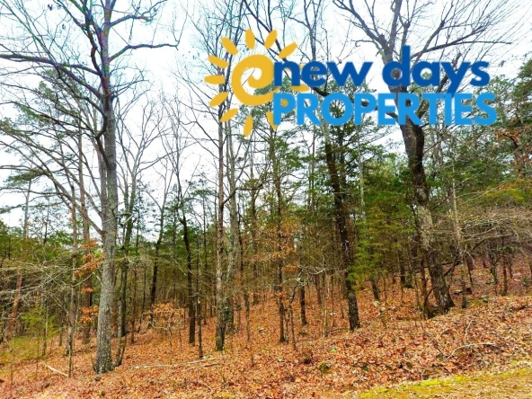 Mountain View Land for Sale in Arkansas