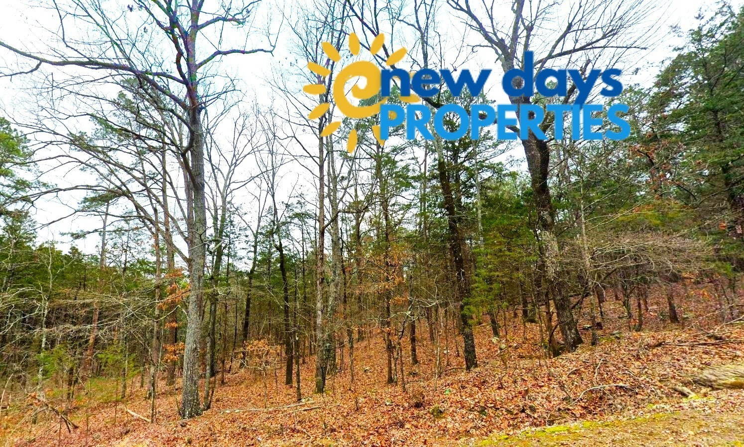 Mountain View Land for Sale in Arkansas