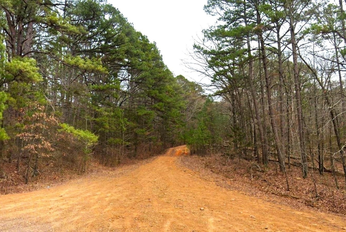 land for sale in arkansas