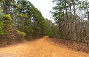 land for sale in arkansas