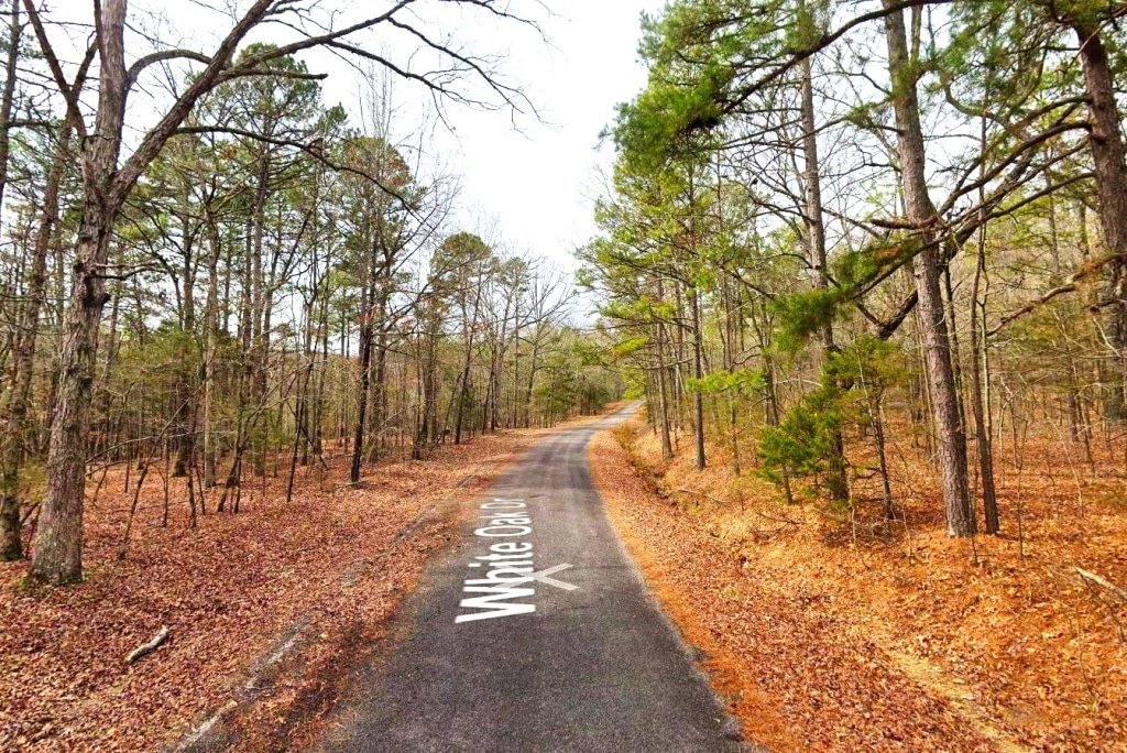 Affordable Ozarks land listing in Arkansas, 0.26 acres - photo 2