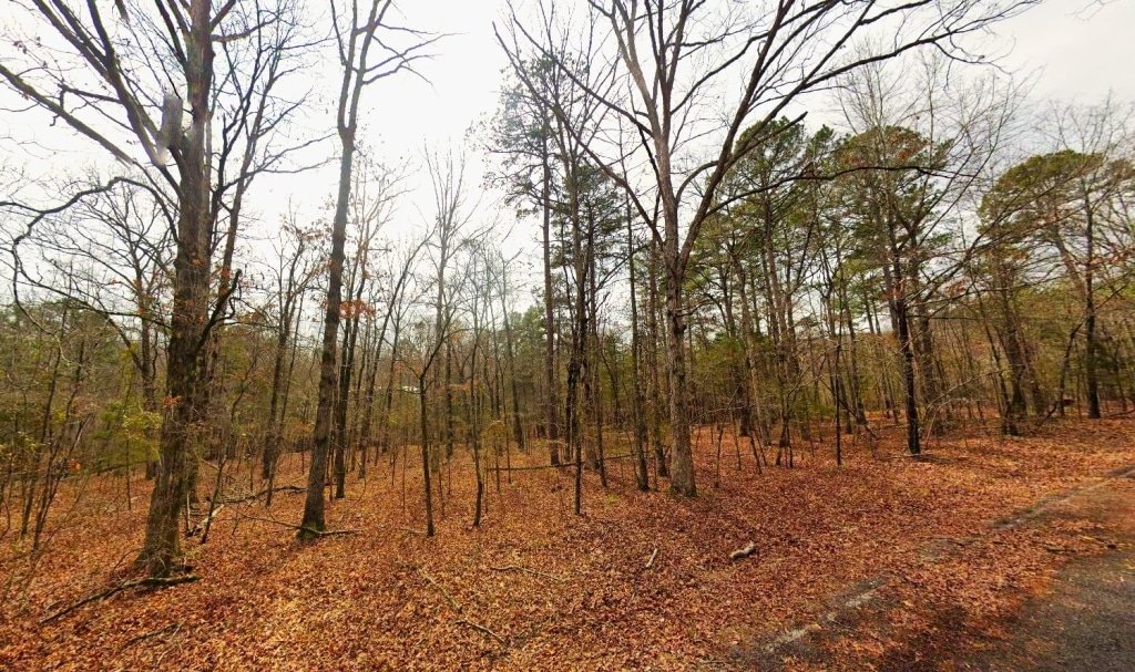 0.26-Acre Cheap Land for Sale in Arkansas Ozarks