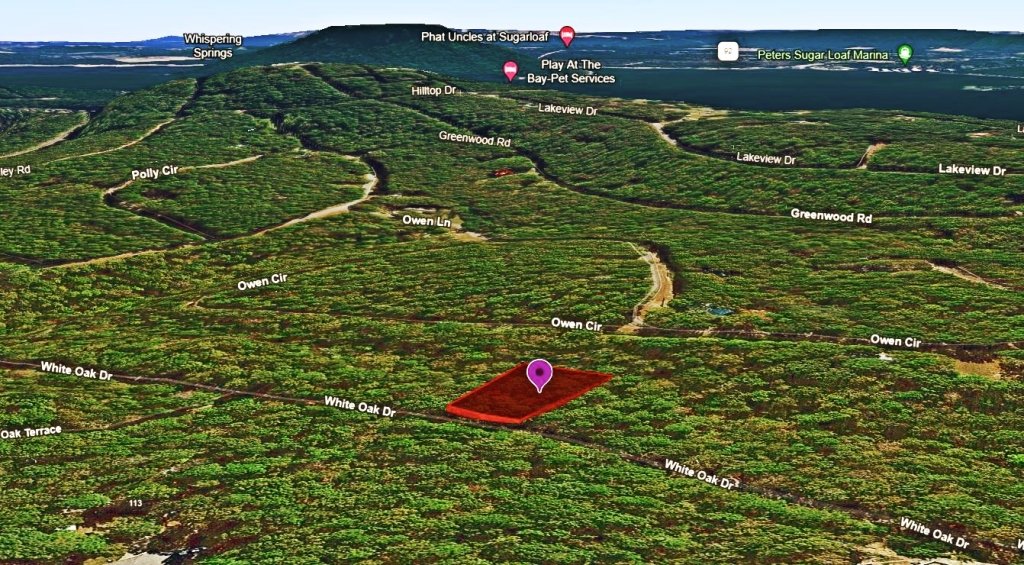 Residential land for sale in Arkansas Ozarks, 0.26 acres - photo 6