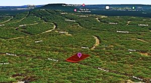 Residential land for sale in Arkansas Ozarks, 0.26 acres - photo 6