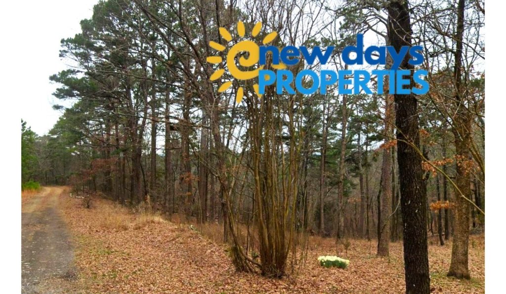 0.26-Acre Mountain View Arkansas Land for Sale