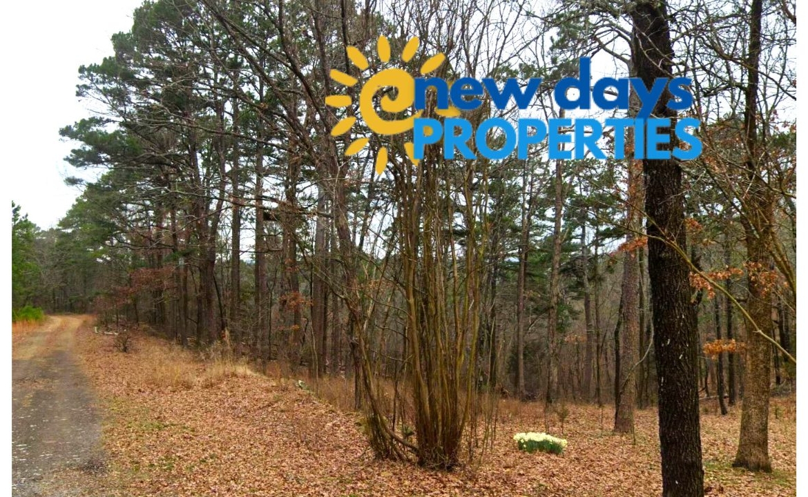 mountain view arkansas land for sale