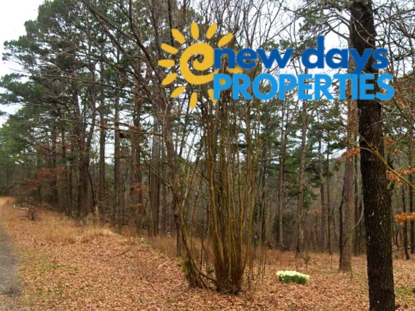 mountain view arkansas land for sale