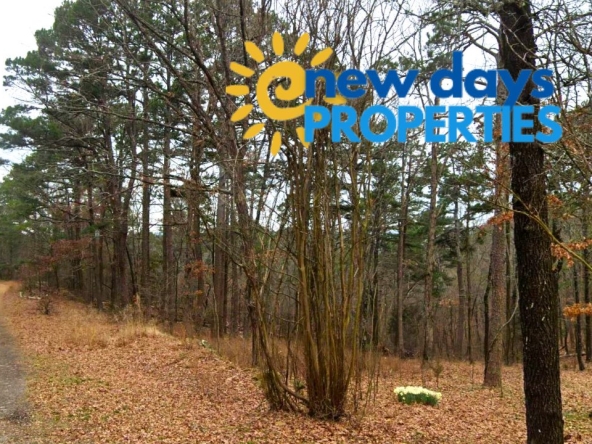 mountain view arkansas land for sale