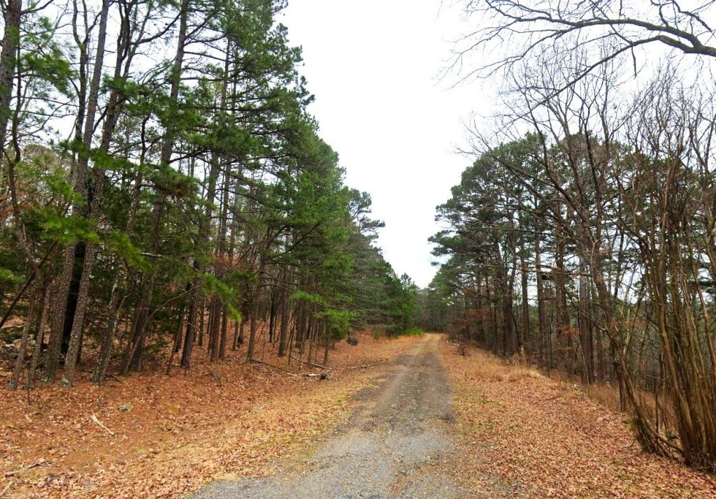 land for sale in mountain view arkansas