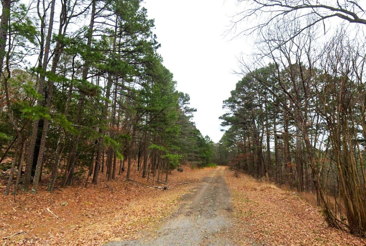 land for sale in mountain view arkansas