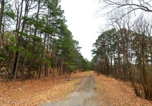 land for sale in mountain view arkansas