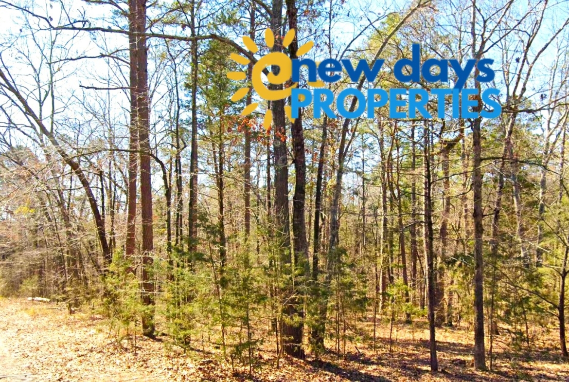 Land for Sale Mountain View Arkansas