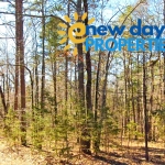 Land for Sale Mountain View Arkansas