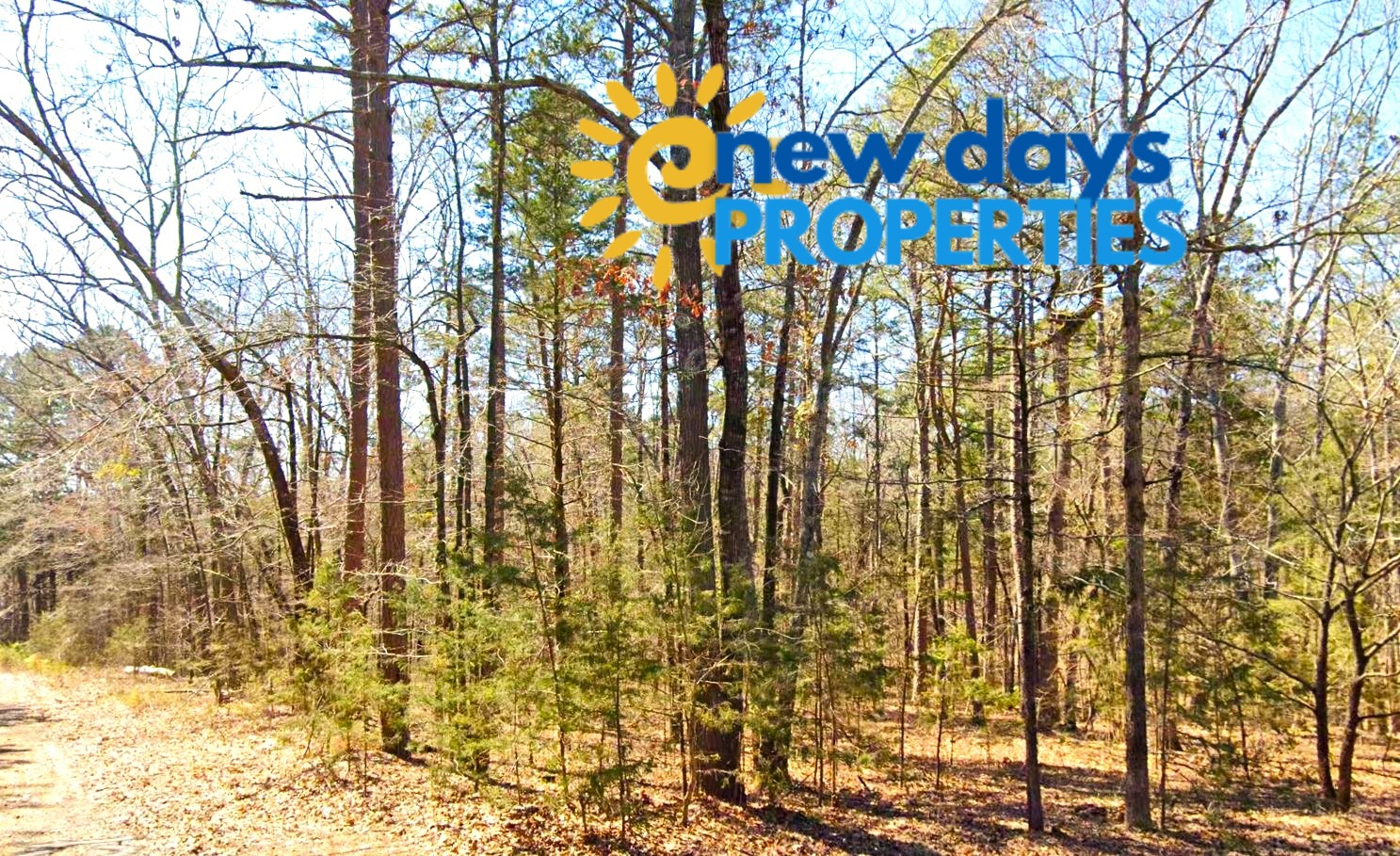 Land for Sale Mountain View Arkansas