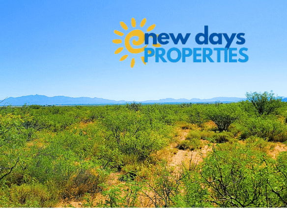 Land with Mountain View For Sale in Colorado