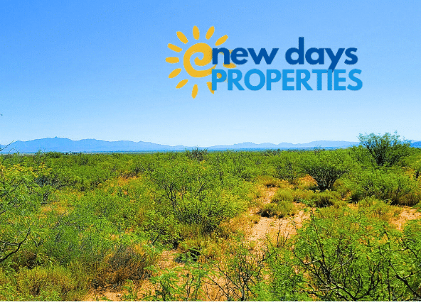 Land with Mountain View For Sale in Colorado