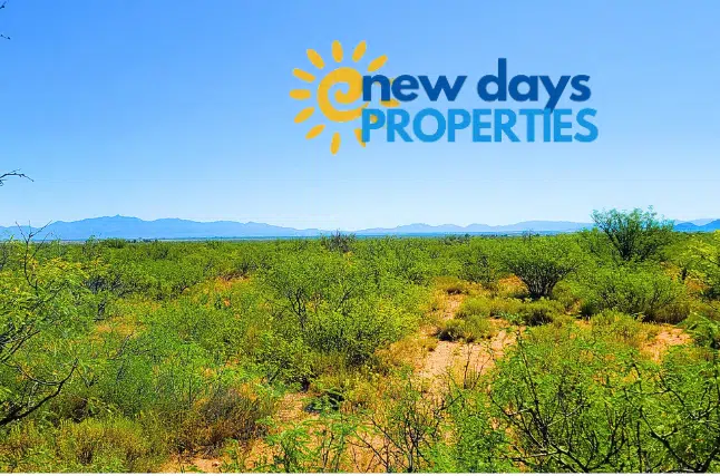 1.25 Acres Land with Mountain View For Sale in Colorado