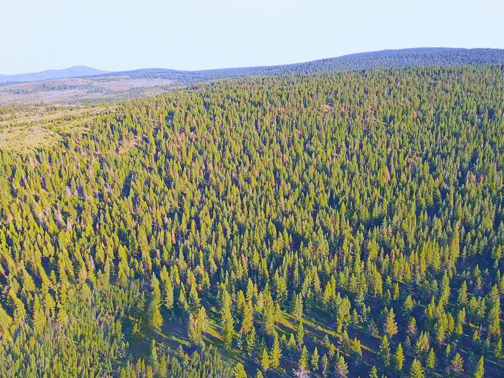 Owner-financed 1.84-acre lot in Alturas, California - photo 9