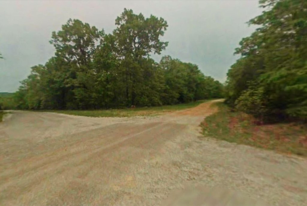 0.79 acre double lot for sale in Arkansas near Horseshoe Bend - photo 1