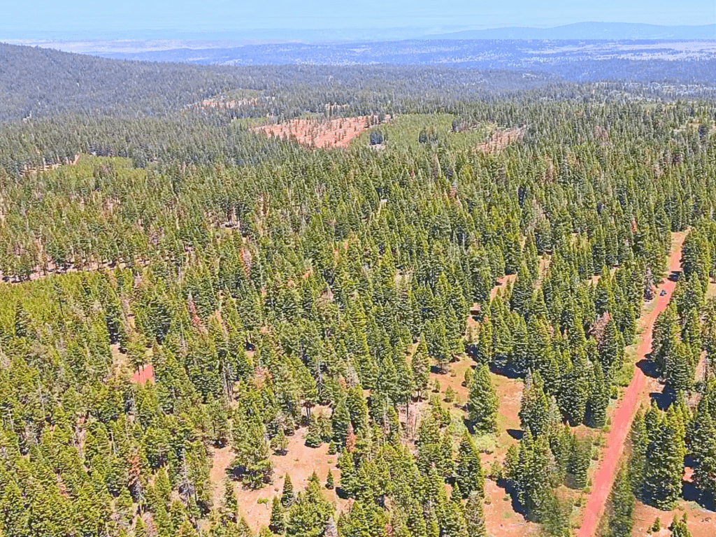 Land for sale in Alturas, California - 1.84 acres - photo 10