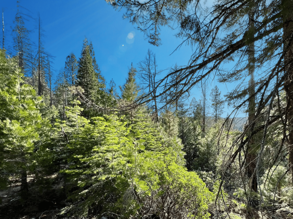 Affordable land listing in Alturas, California - photo 7