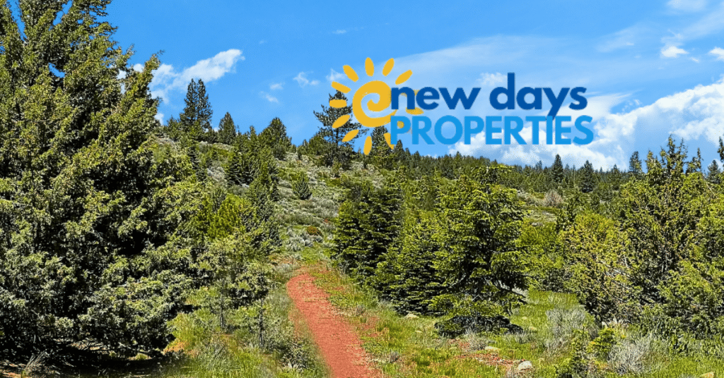 Land for Sale in Alturas