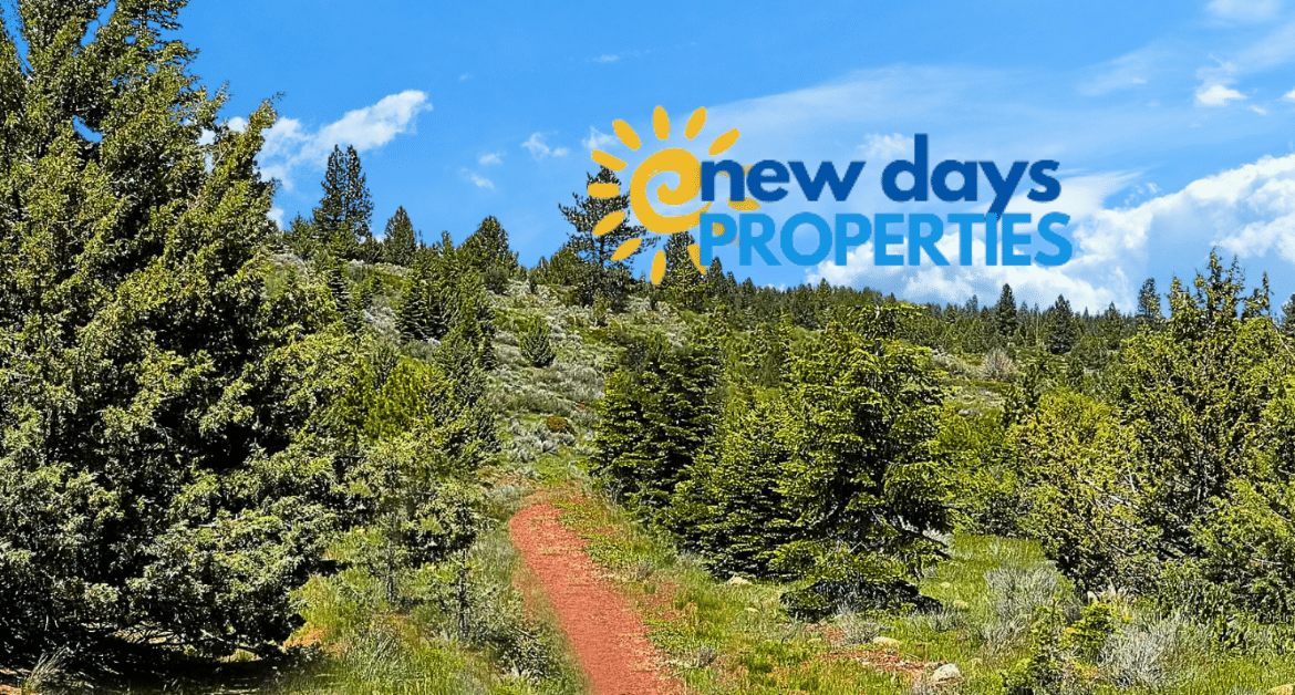 Land for Sale in Alturas