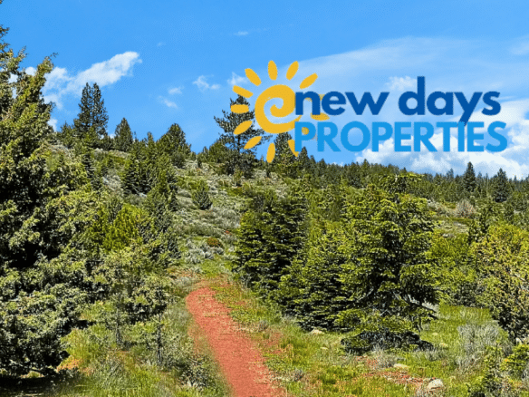 Land for Sale in Alturas