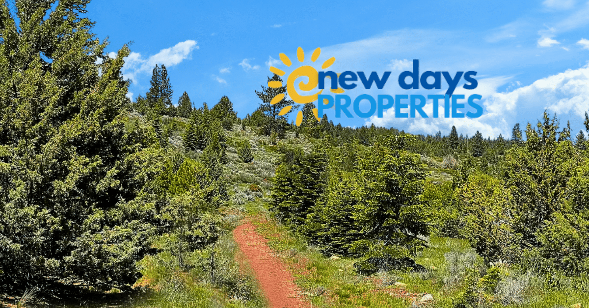 Land for Sale in Alturas
