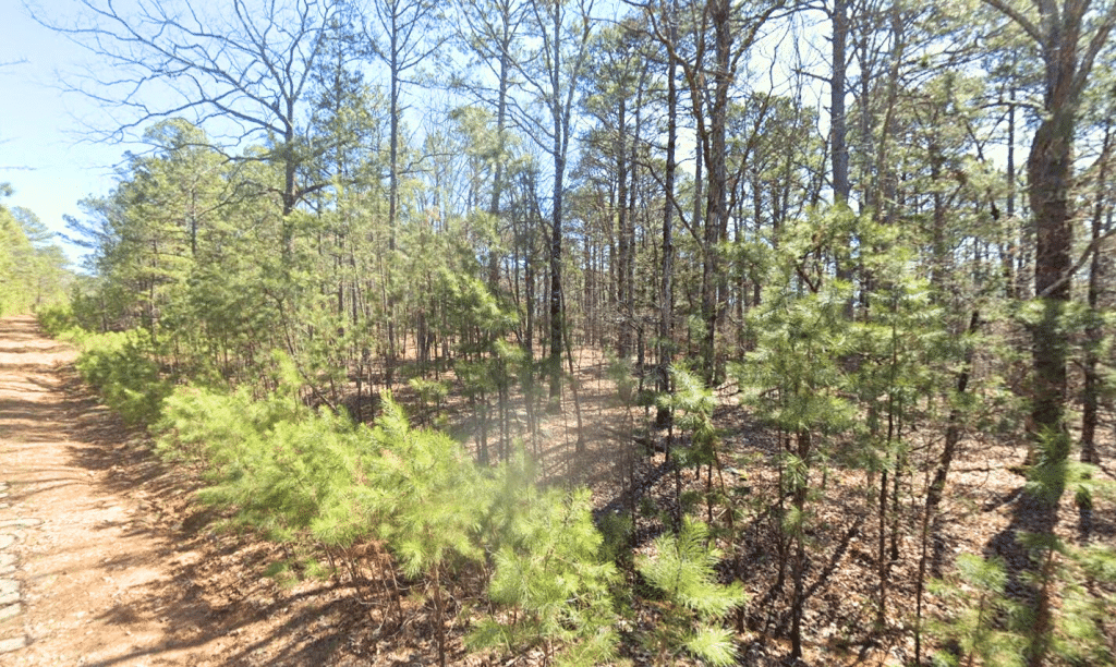 Affordable land for sale near Fairfield Bay, AR - photo 4