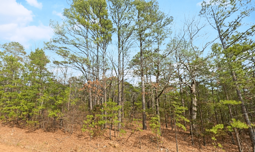 0.25 acre property in Fairfield Bay, Arkansas - photo 3