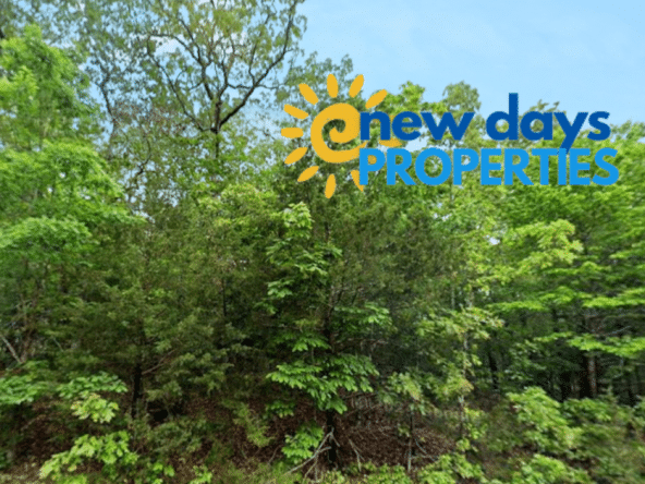 land for sale in horseshoe bend