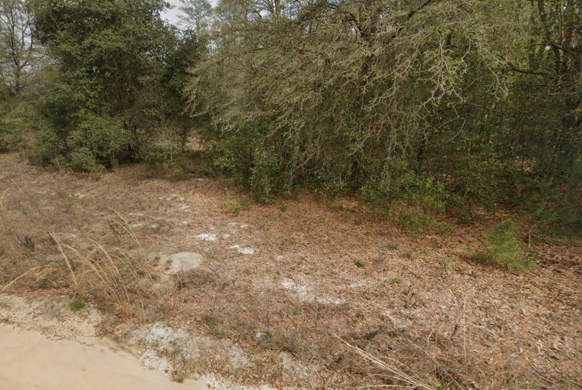 0.22 Acre of land in Interlachen