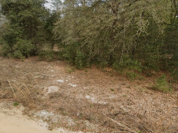0.22 Acre of land in Interlachen