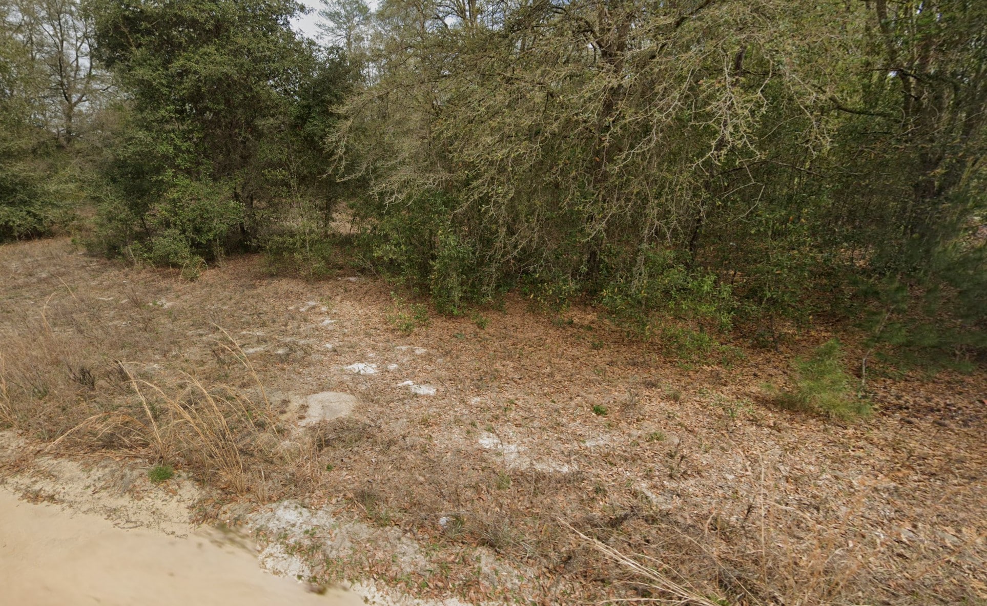 0.22 Acre of land in Interlachen