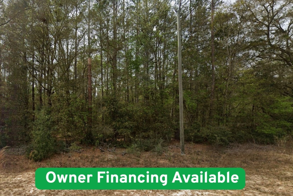 0.22 Acre Property in Interlachen For Sale