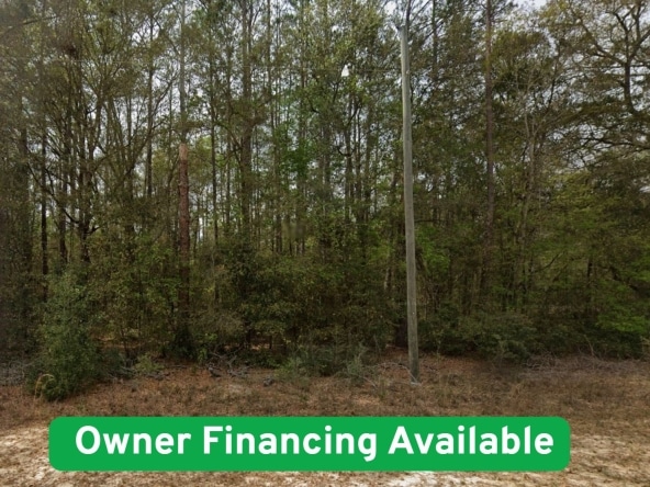 0.22 Acre Property in Interlachen For Sale