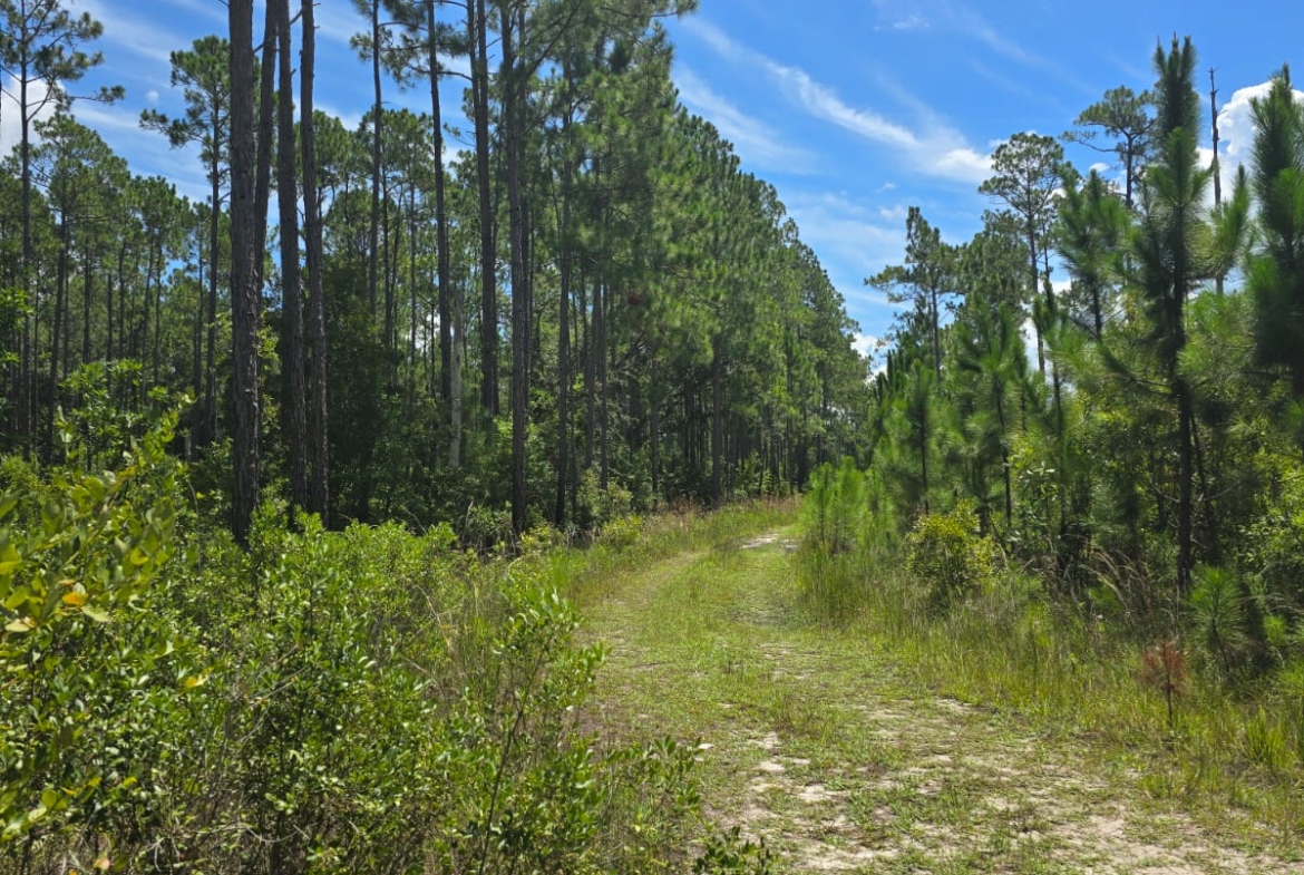 2.14 Acre Land For Sale in Palatka, Florida