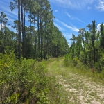 2.14 Acre Land For Sale in Palatka, Florida