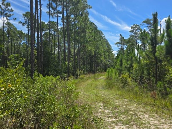 2.14 Acre Land For Sale in Palatka, Florida