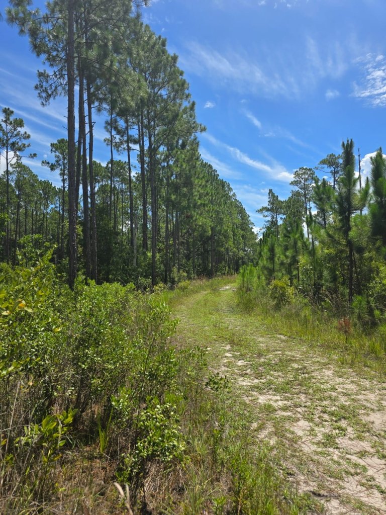 2.14 Acre Land For Sale in Palatka, Florida