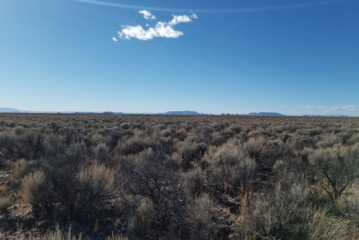 0.42 Serene Acres land for sale in Antonito, Colorado