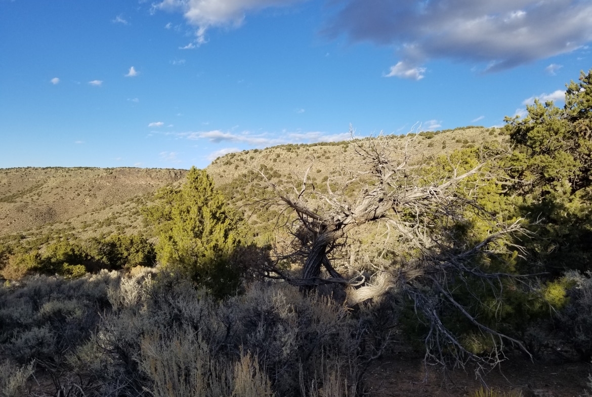 0.42 Serene Acres land for sale in Antonito, Colorado