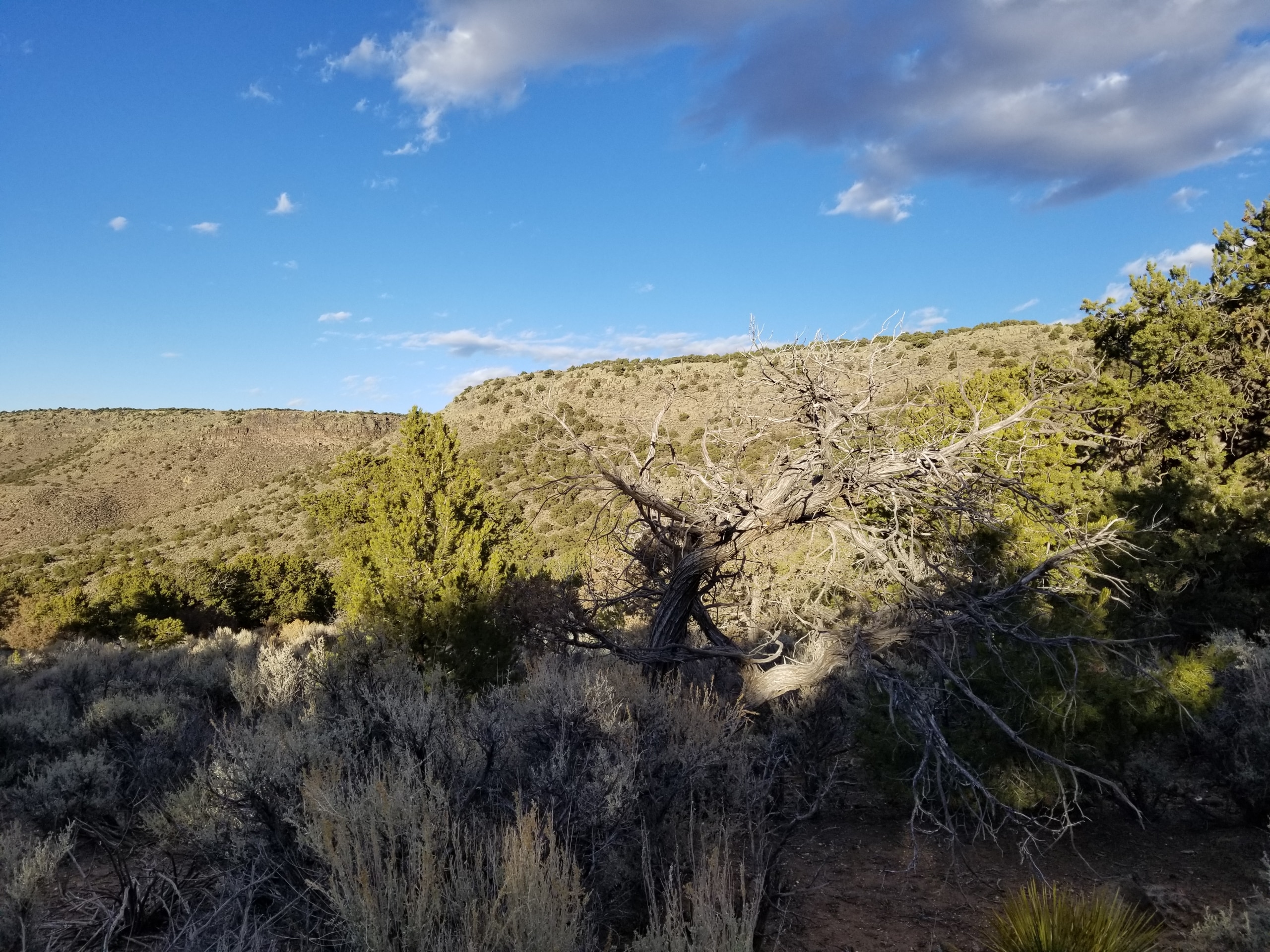 0.42 Serene Acres land for sale in Antonito, Colorado