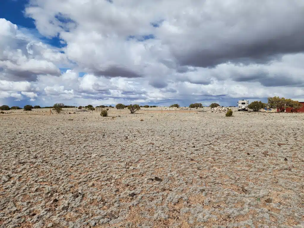1.04 Acre Land for Sale in Concho Arizona