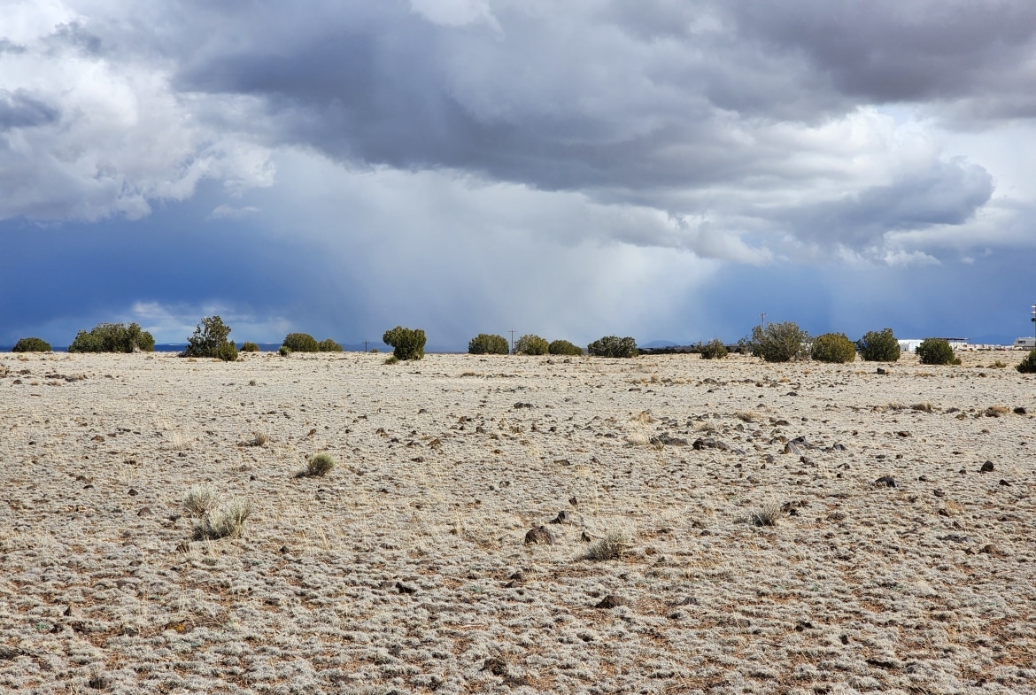 1.04 Acre Land for Sale in Concho Arizona